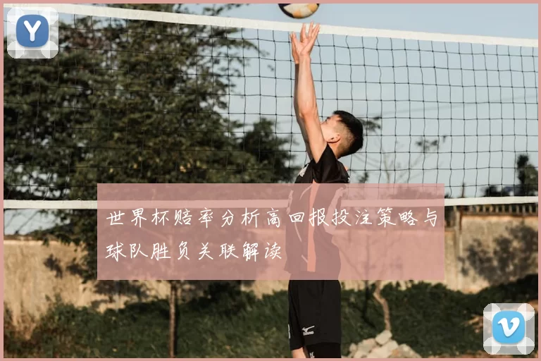 世界杯赔率分析高回报投注策略与球队胜负关联解读