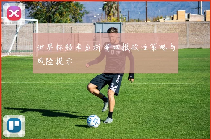 世界杯赔率分析高回报投注策略与风险提示
