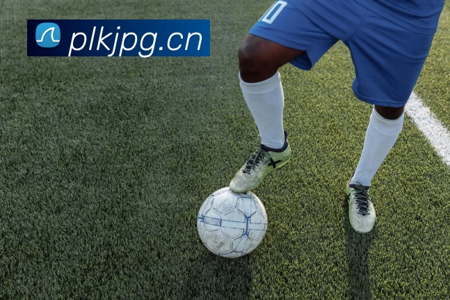 九游官网·(中国大陆) 手机游戏第一门户 - 官方网站品牌故事